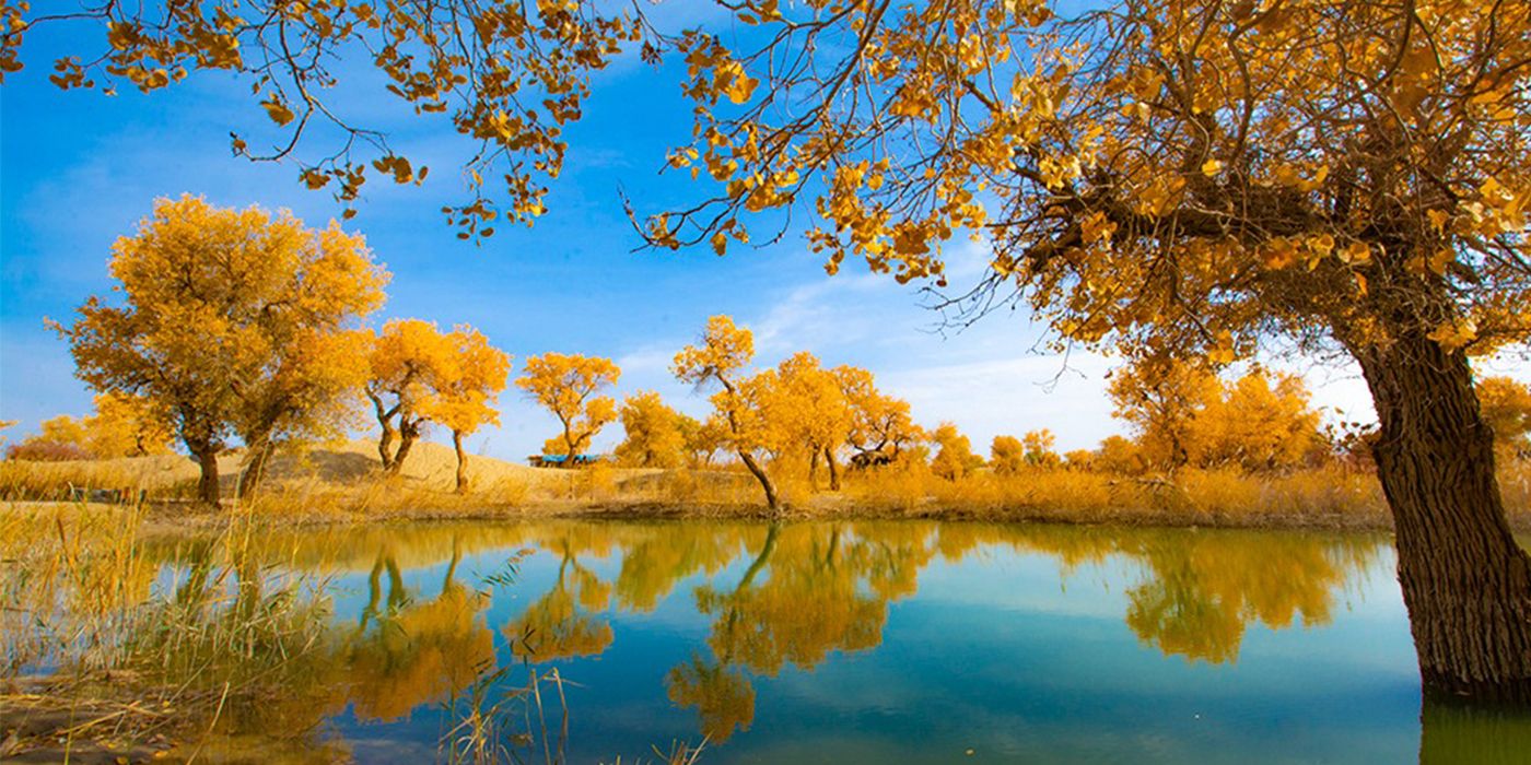 The View Of Xinjiang Talimu River